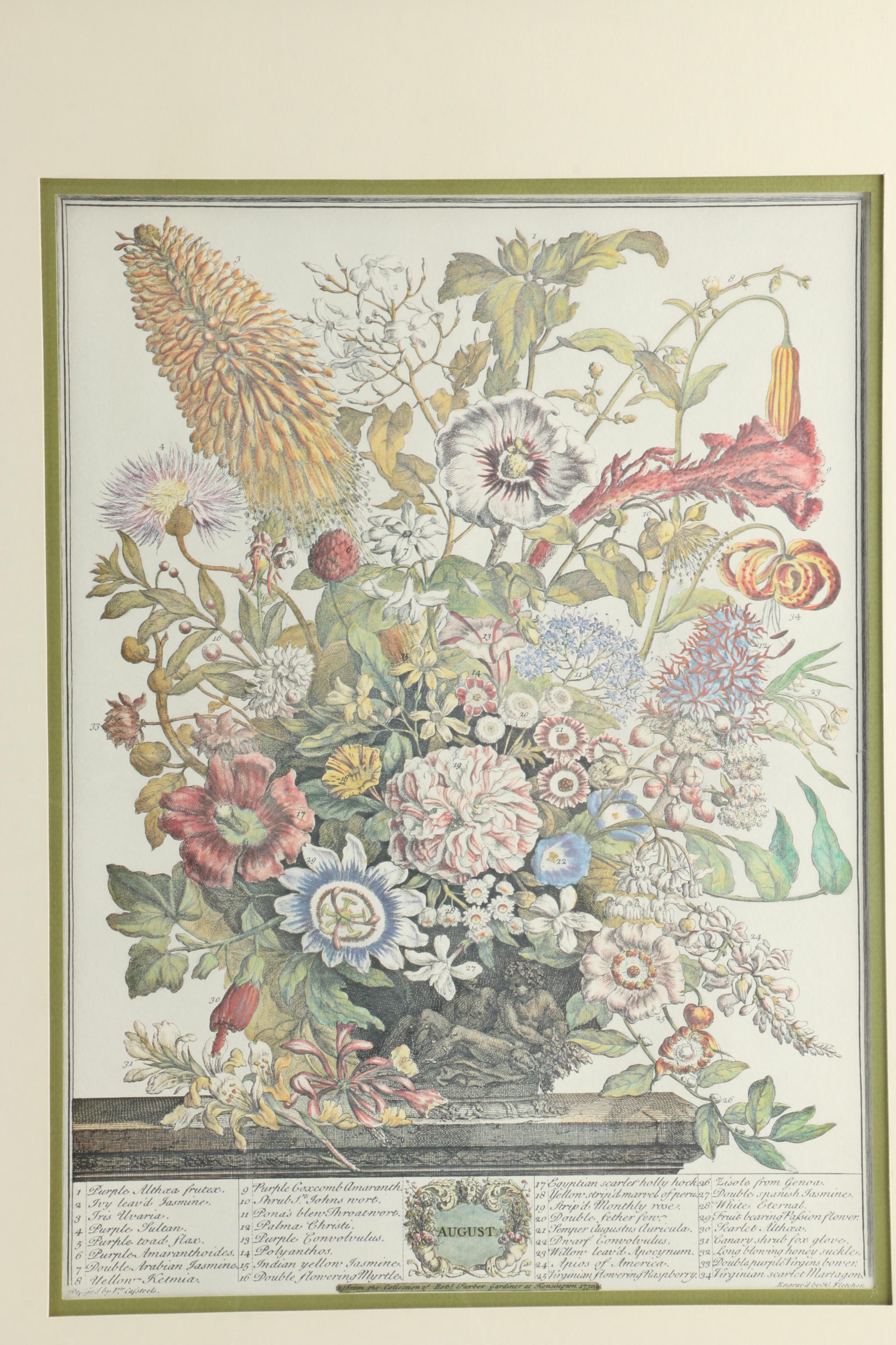 Offset Lithographs After Pieter Casteels "Twelve Months of Flowers": "August" and "November"