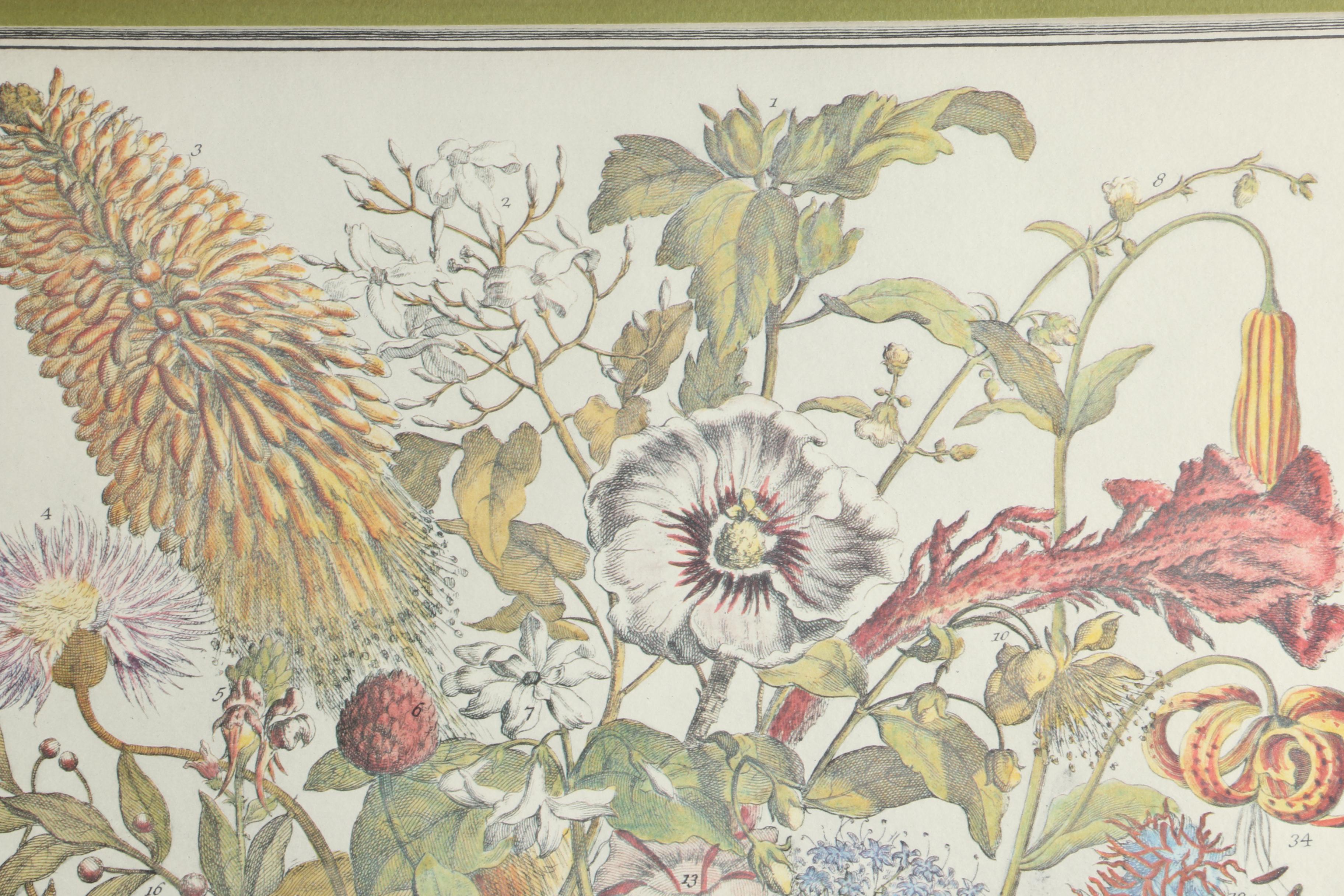 Offset Lithographs After Pieter Casteels "Twelve Months of Flowers": "August" and "November"