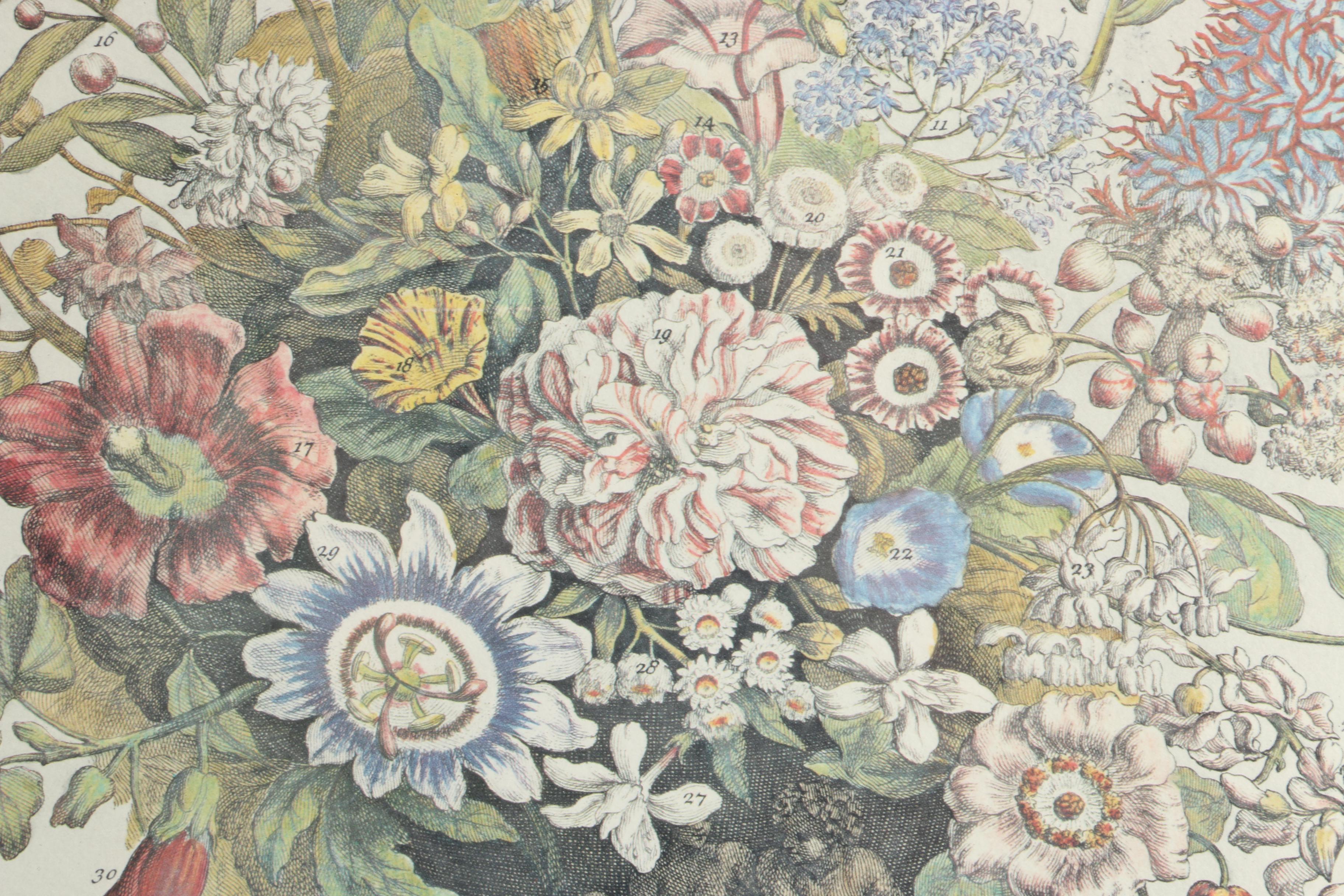 Offset Lithographs After Pieter Casteels "Twelve Months of Flowers": "August" and "November"