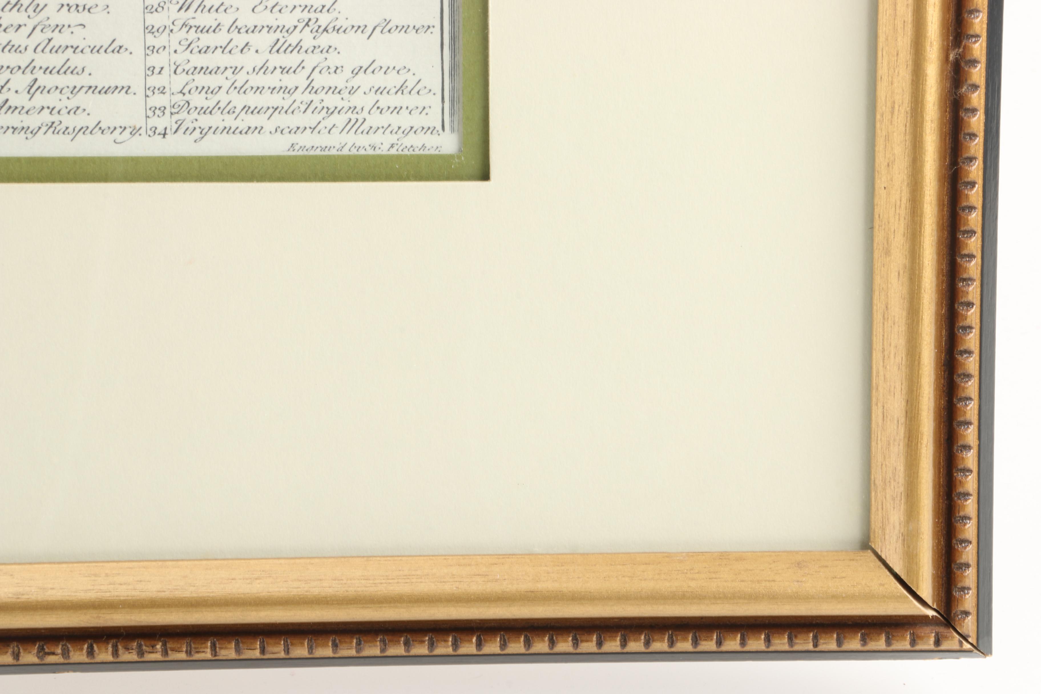 Offset Lithographs After Pieter Casteels "Twelve Months of Flowers": "August" and "November"