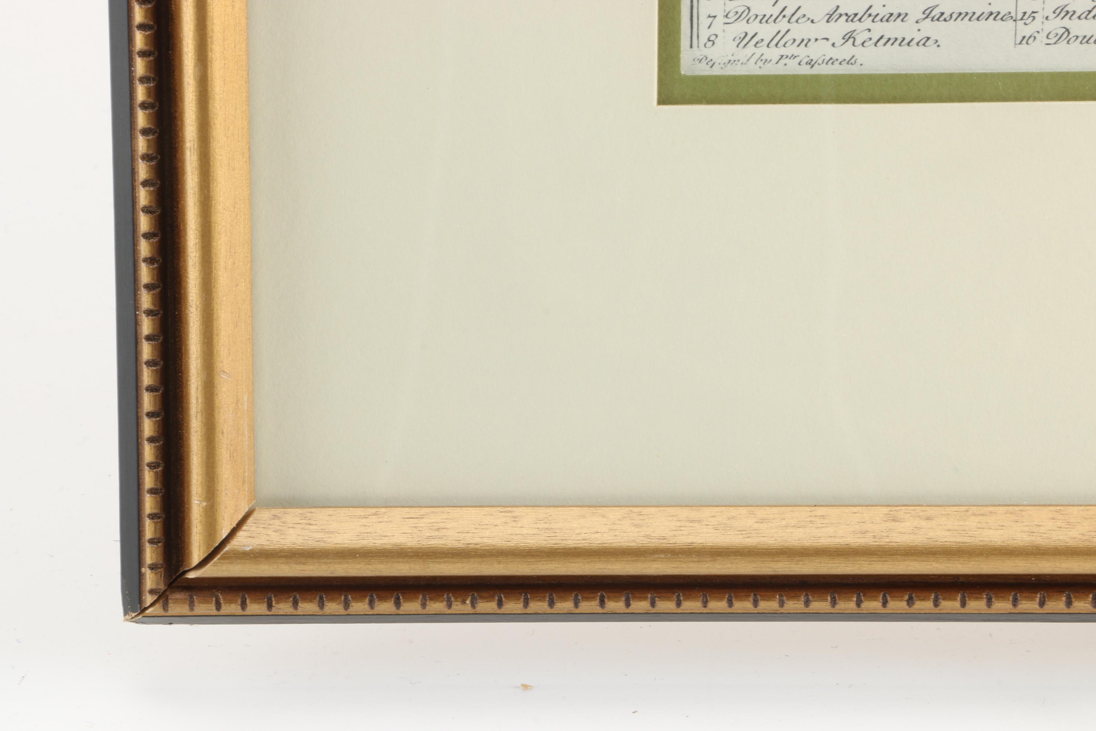 Offset Lithographs After Pieter Casteels "Twelve Months of Flowers": "August" and "November"