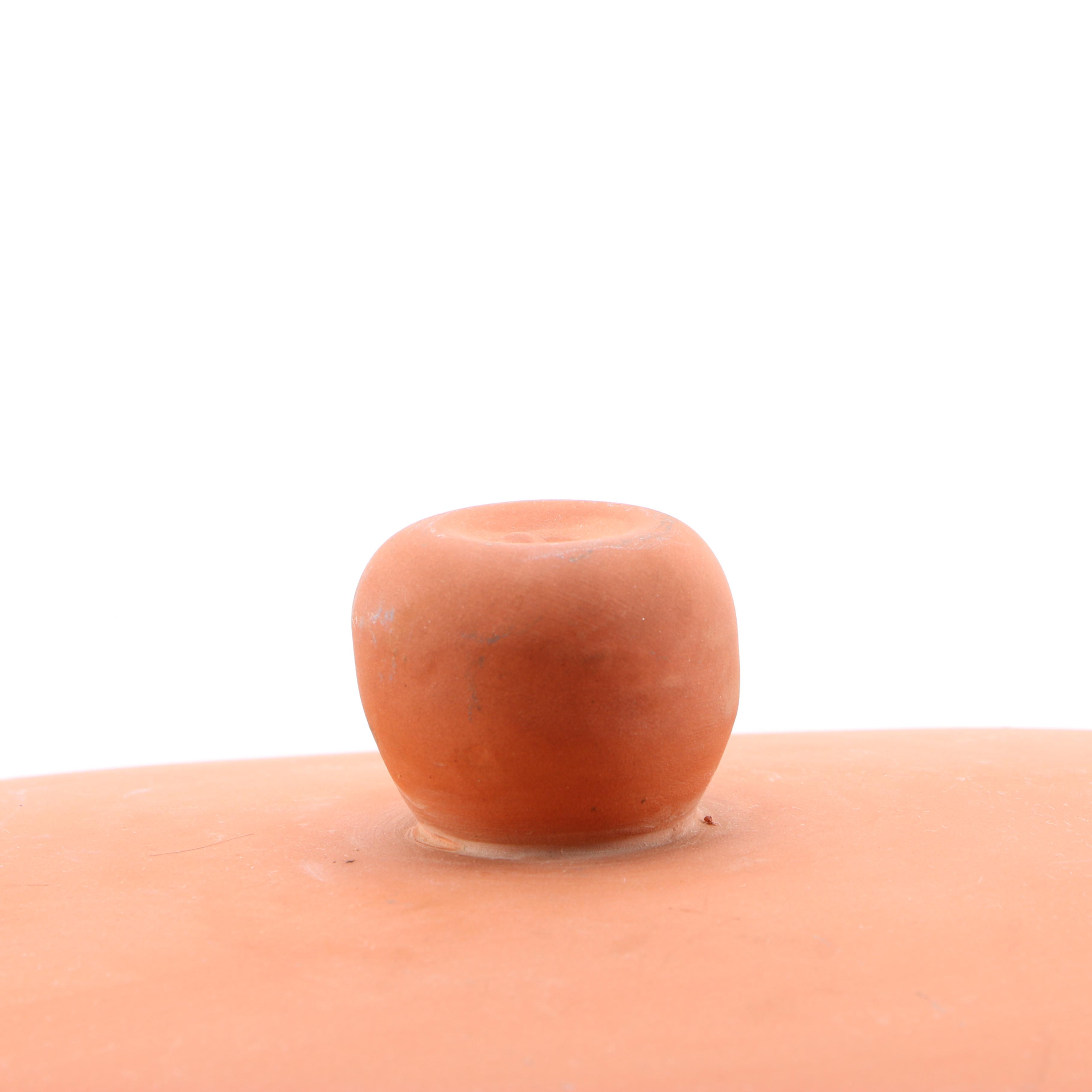 Terra Cotta Roasting Pan