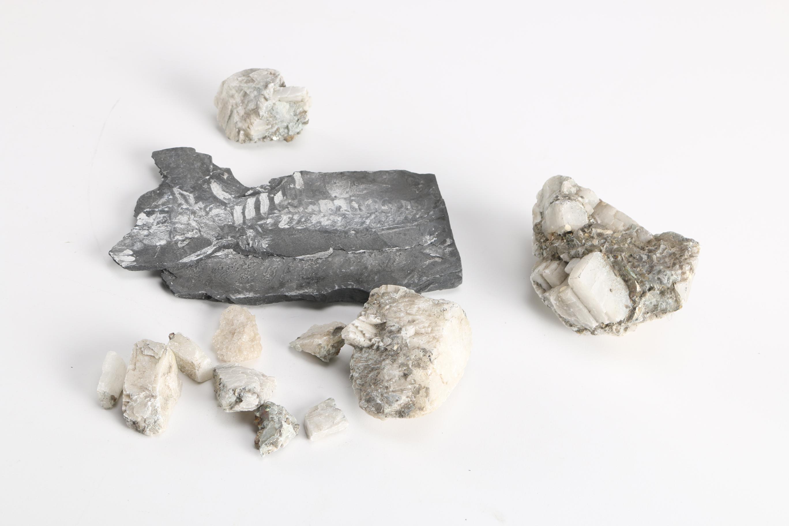 Minerals and Fossils