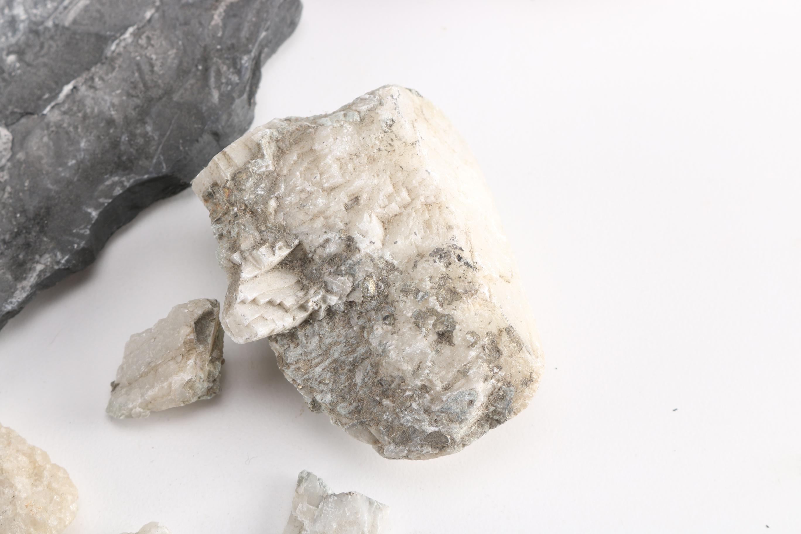 Minerals and Fossils