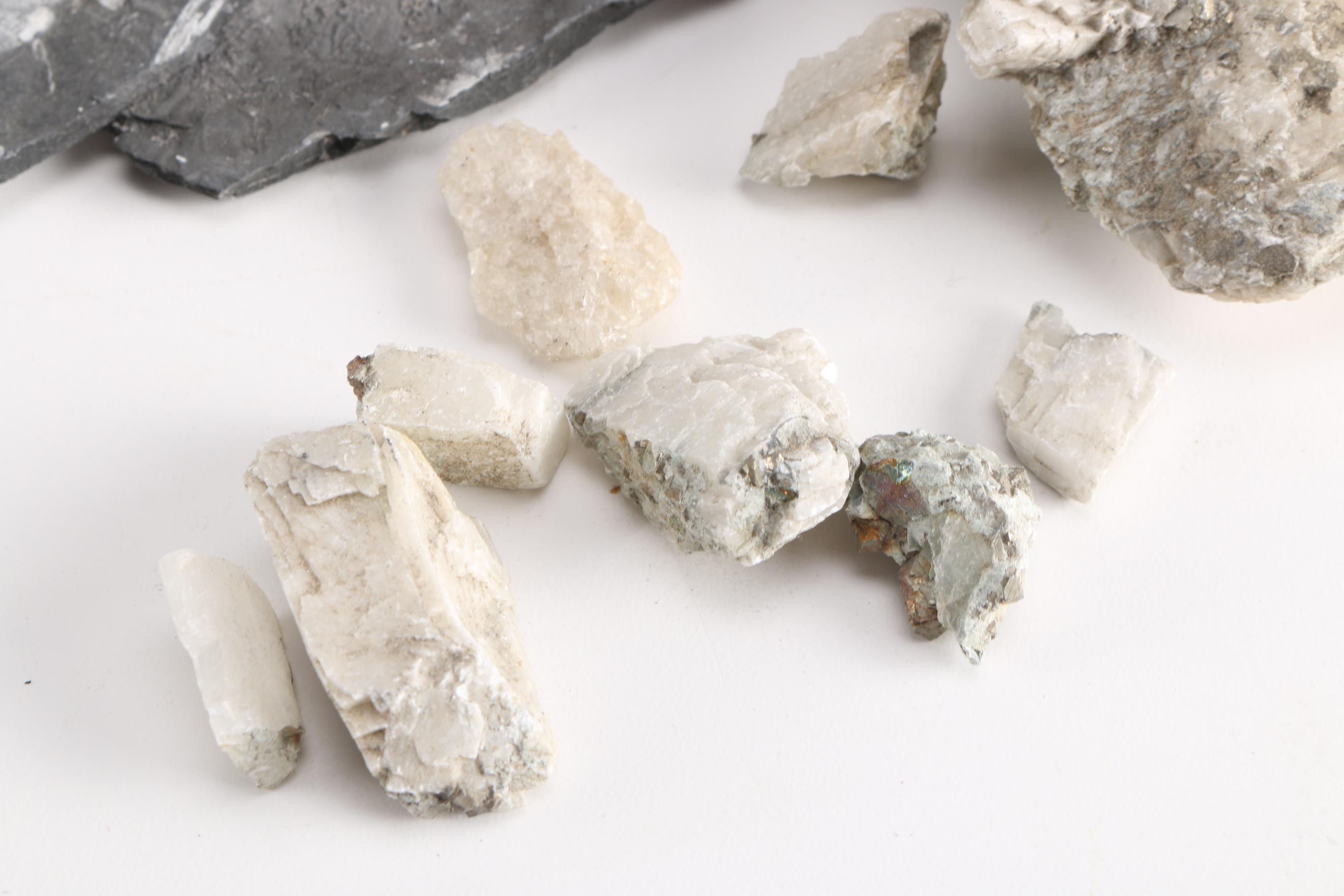 Minerals and Fossils