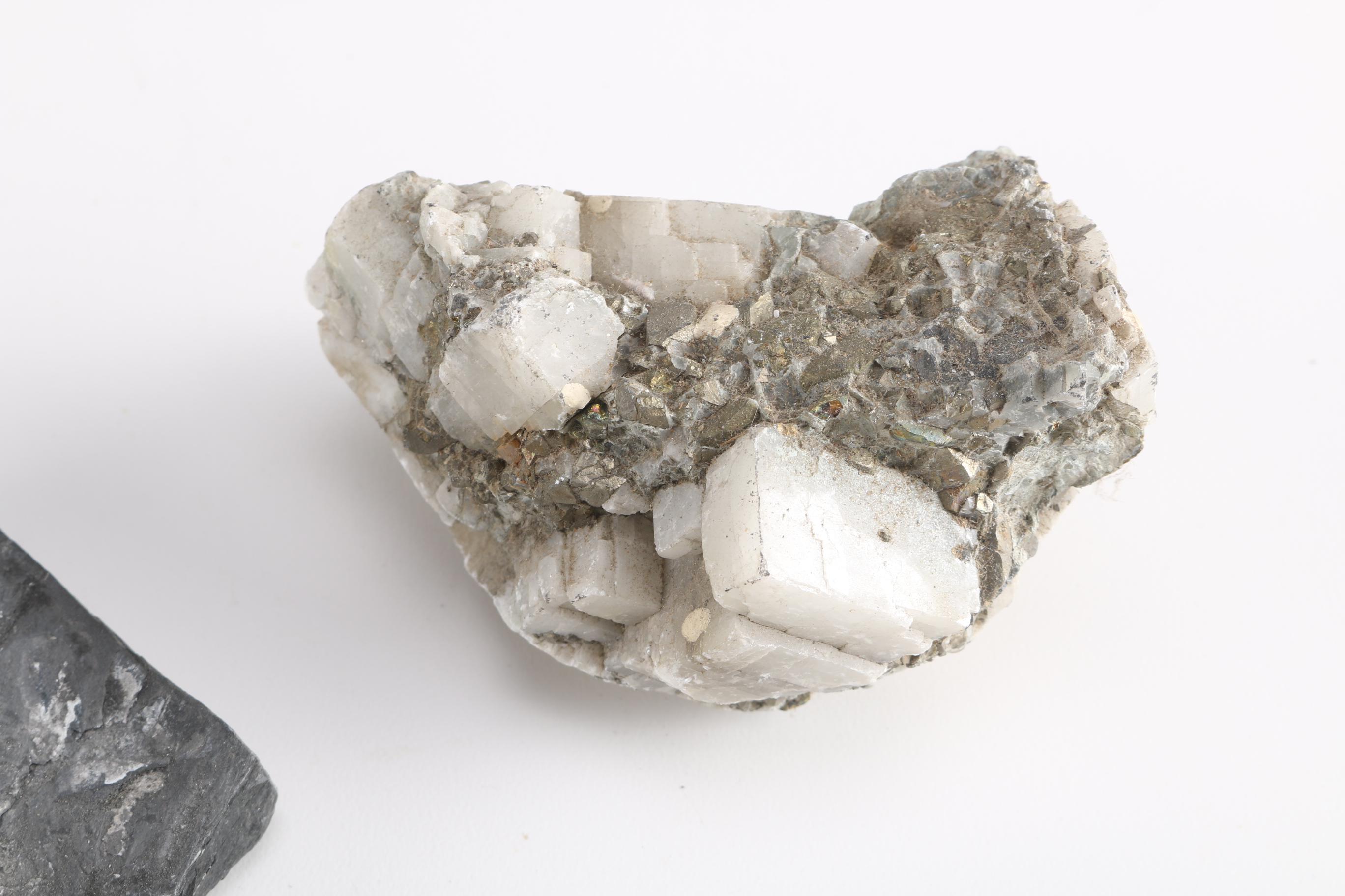 Minerals and Fossils