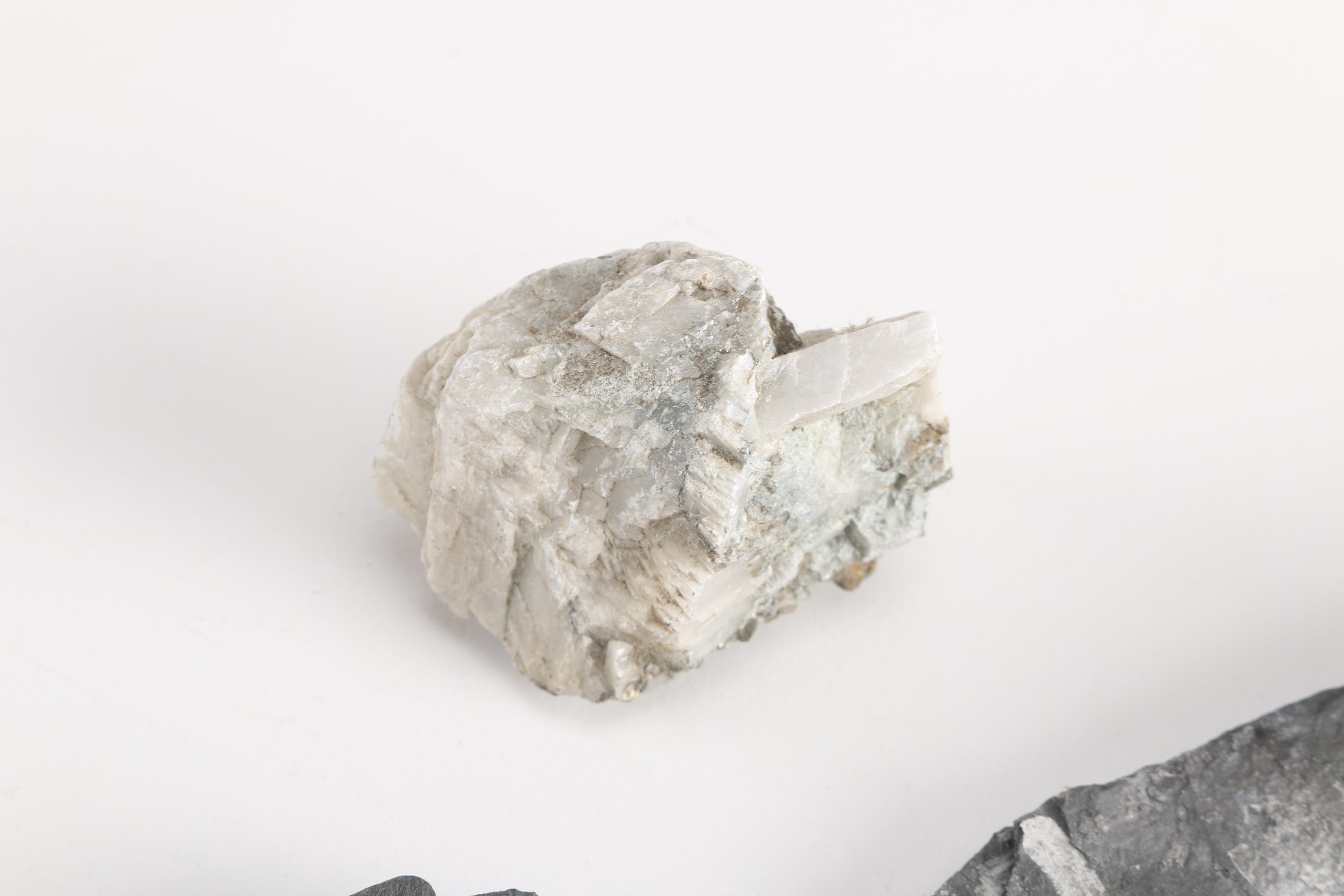 Minerals and Fossils