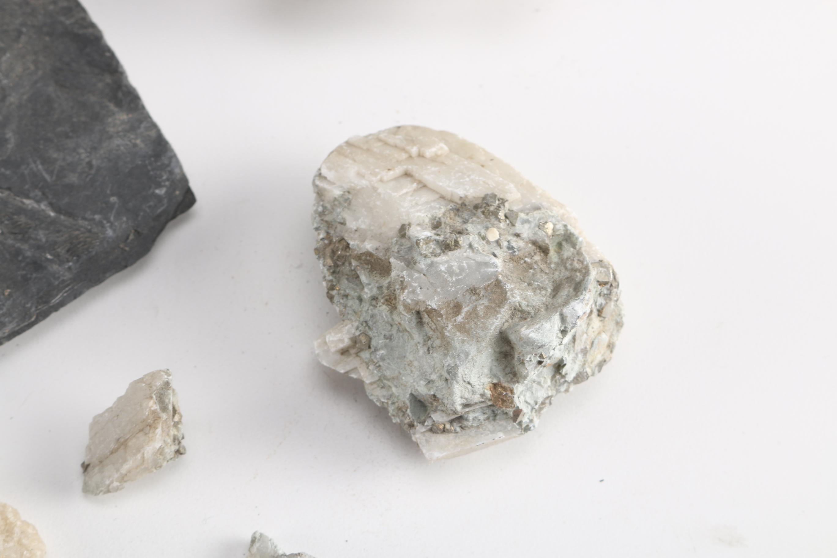 Minerals and Fossils