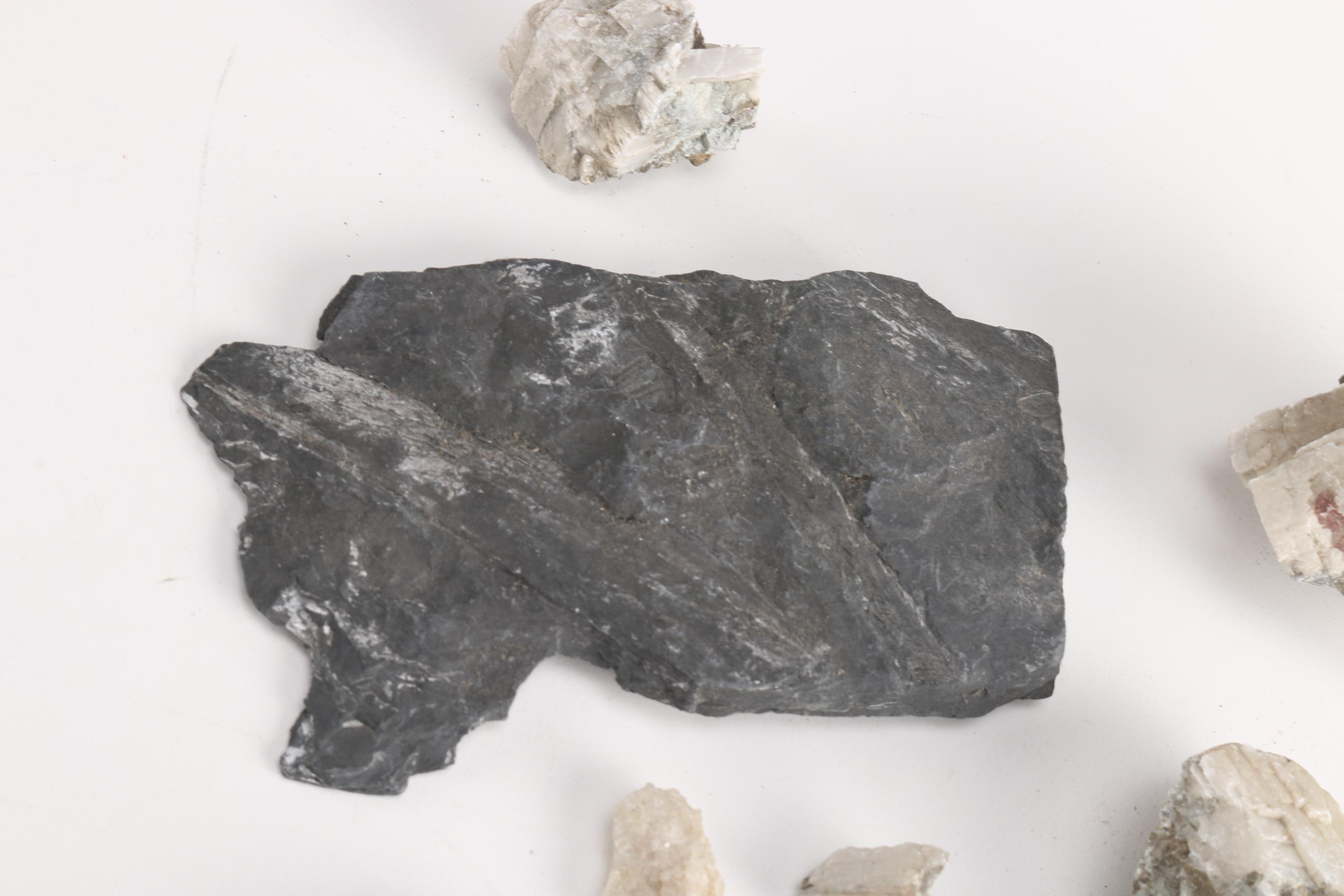 Minerals and Fossils