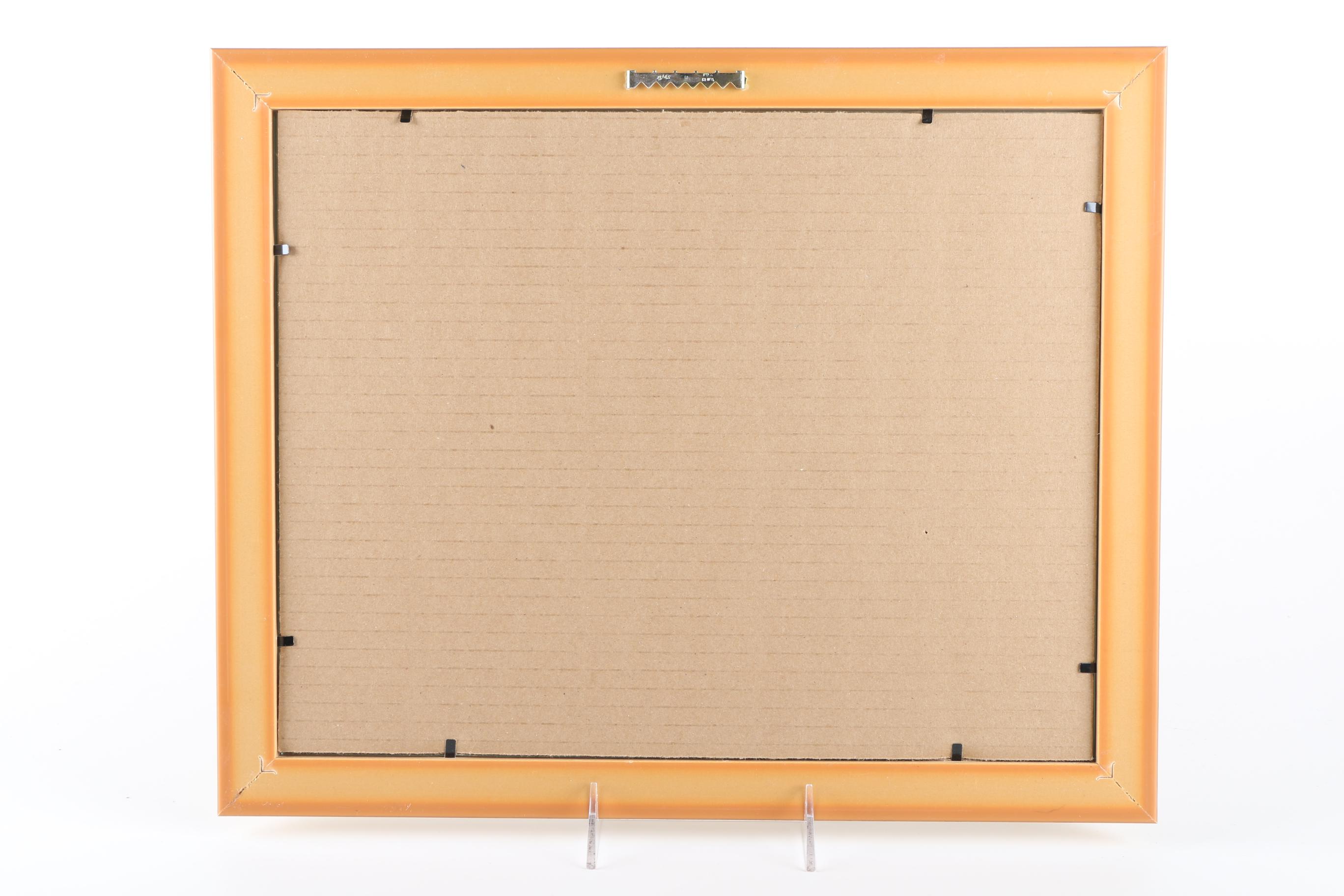 Collection of Framed Continental Maps