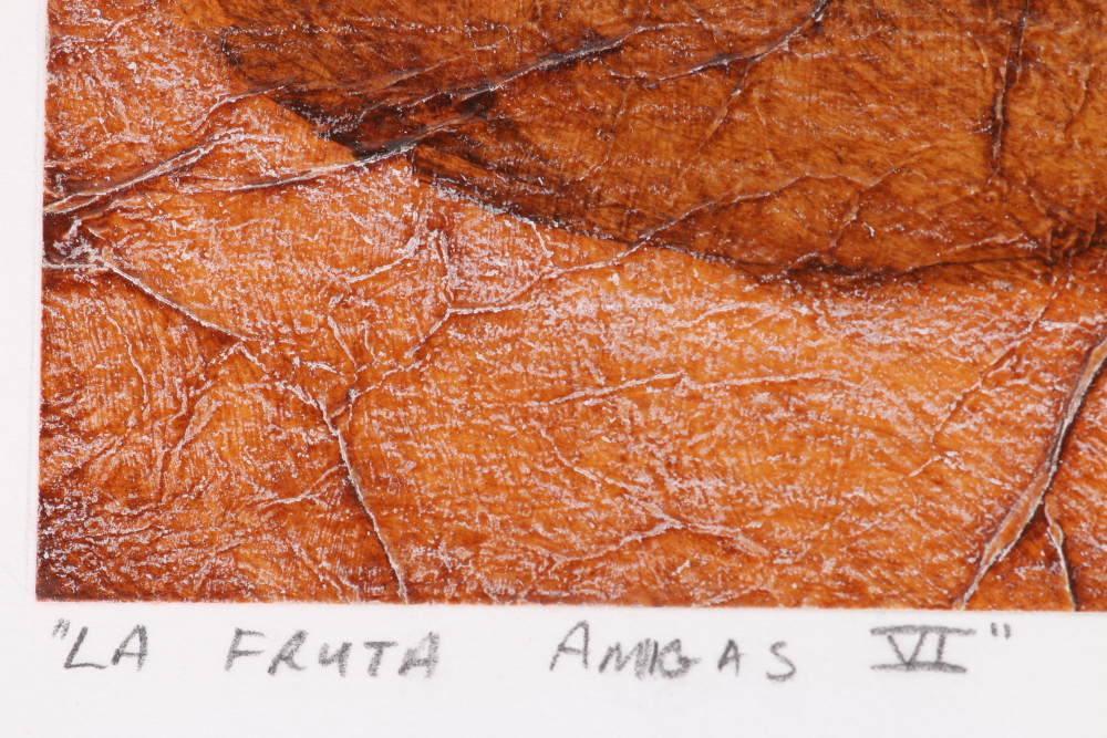 Mary Kreuziger Mixed Media on Paper "La Fruta Amigas III" and "La Fruta Amigas VI"