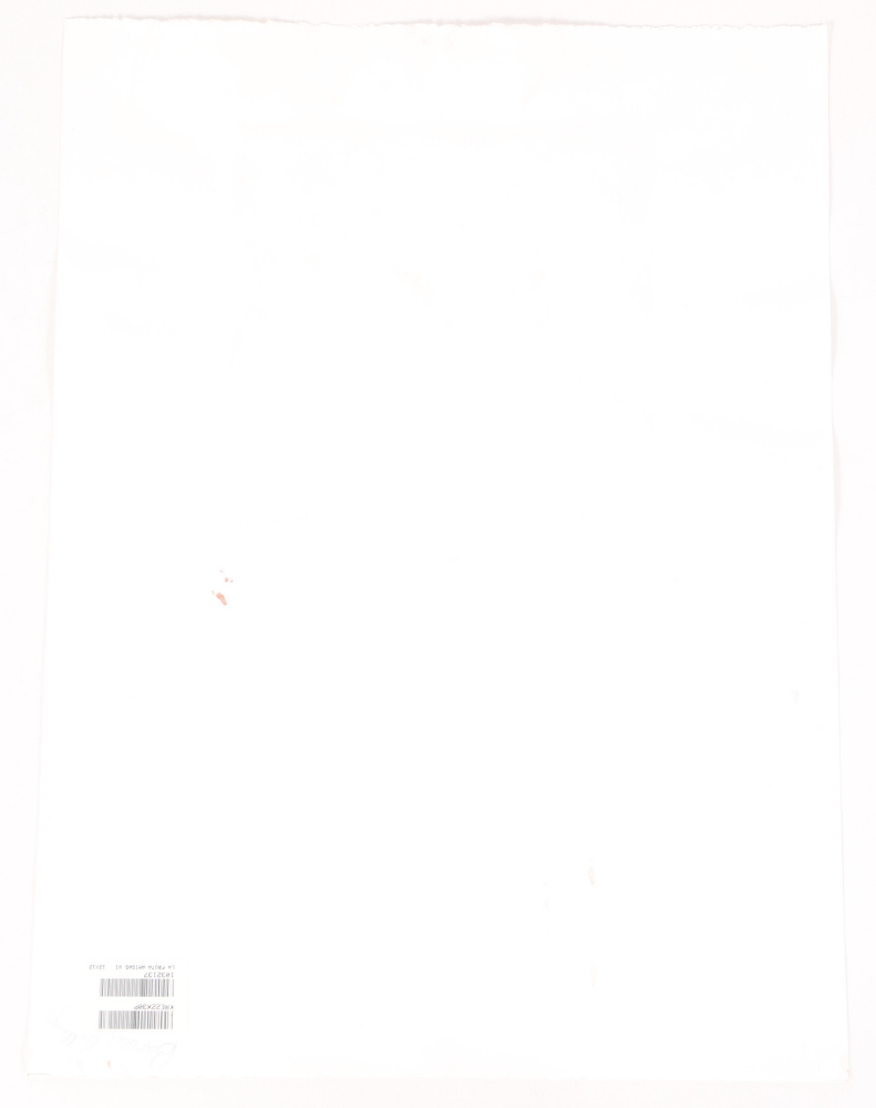 Mary Kreuziger Mixed Media on Paper "La Fruta Amigas III" and "La Fruta Amigas VI"