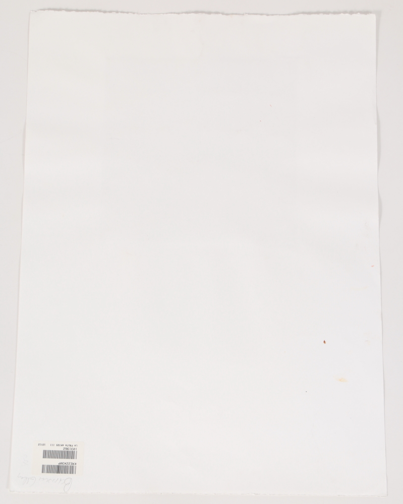 Mary Kreuziger Mixed Media on Paper "La Fruta Amigas III" and "La Fruta Amigas VI"