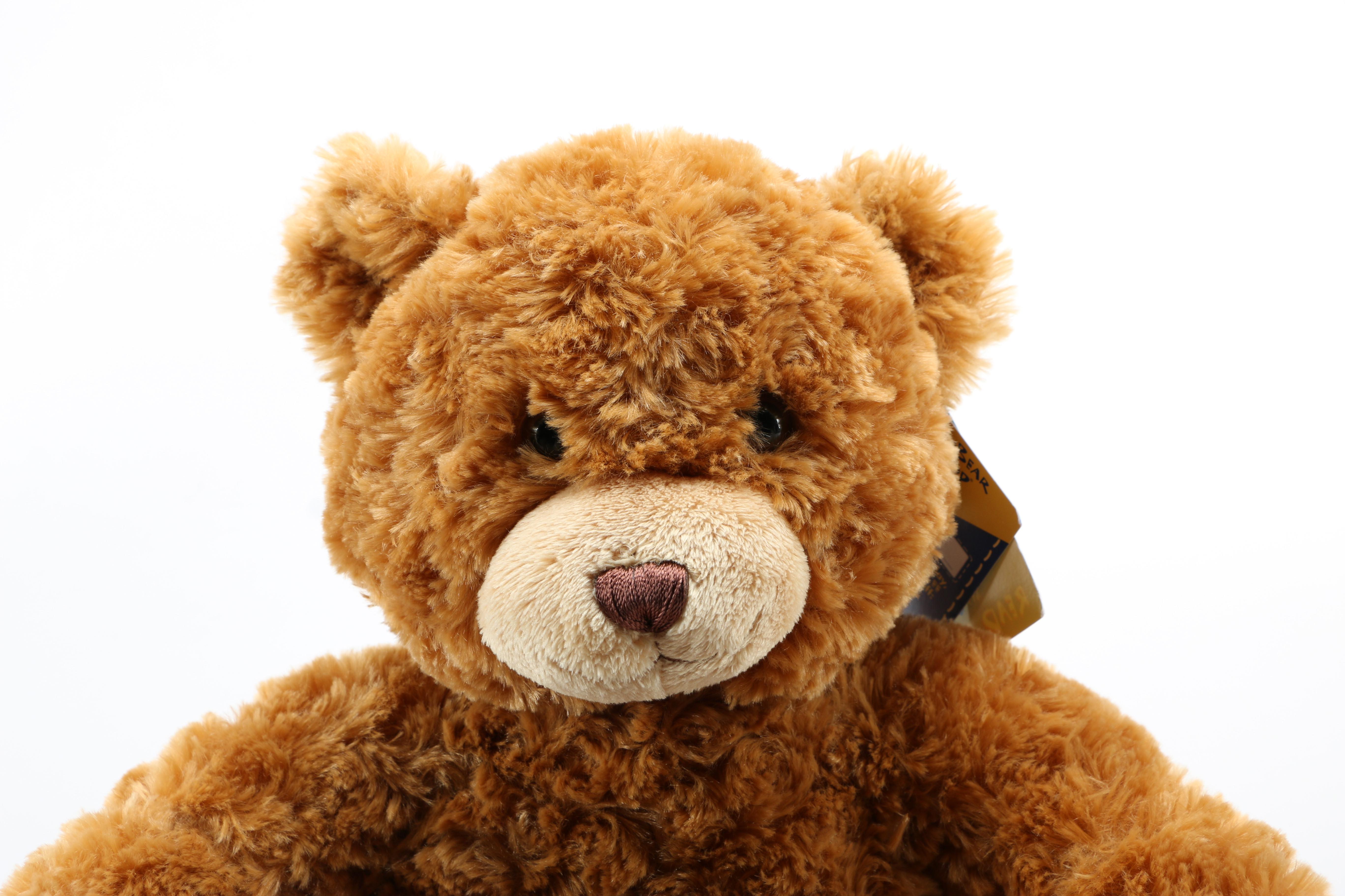 Build-a-Bear With Clothing and Accessories