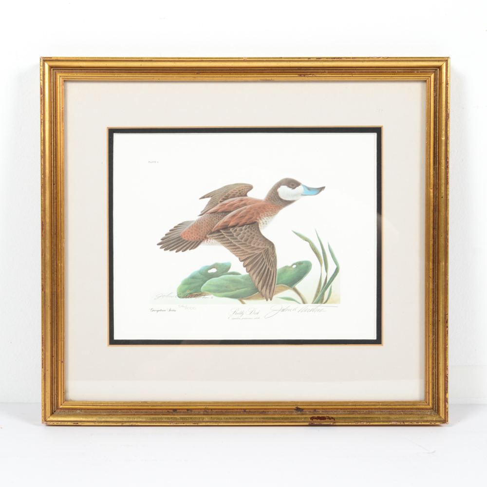 John A. Ruthven Limited Edition Offset Lithograph "Ruddy Duck"