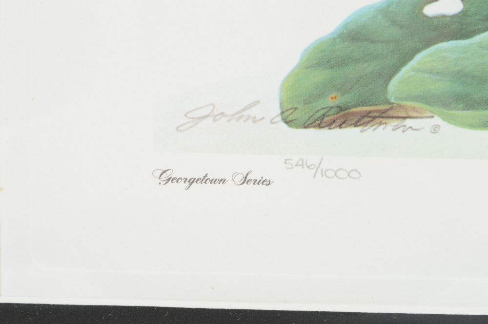 John A. Ruthven Limited Edition Offset Lithograph "Ruddy Duck"