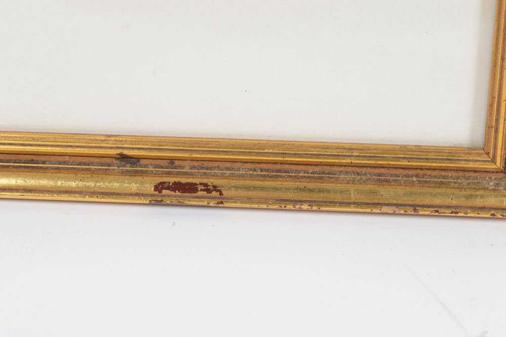 John A. Ruthven Limited Edition Offset Lithograph "Ruddy Duck"