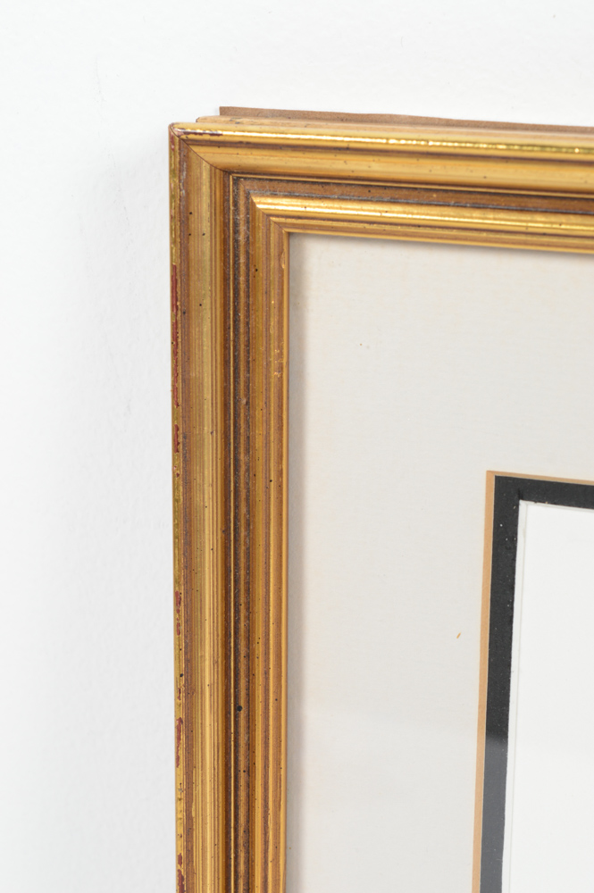 John A. Ruthven Limited Edition Offset Lithograph "Ruddy Duck"