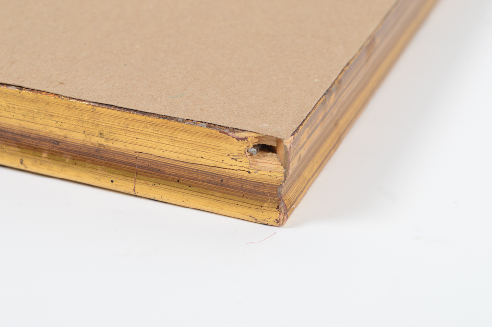 John A. Ruthven Limited Edition Offset Lithograph "Ruddy Duck"