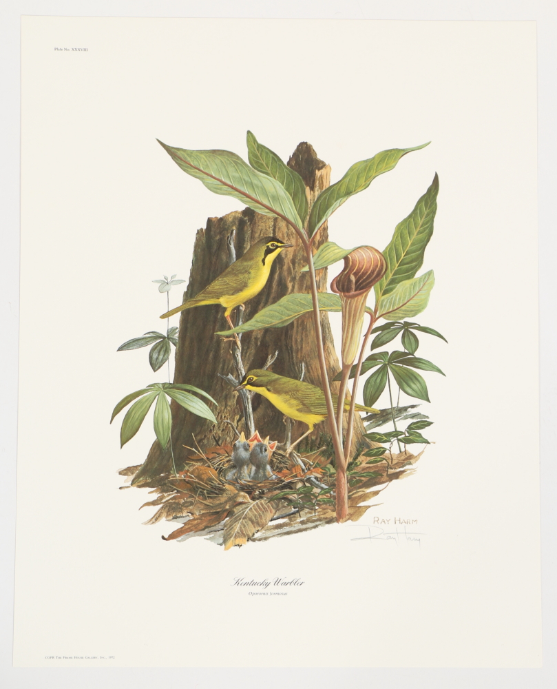 Ray Harm Offset Lithographs "Kentucky Warble" "Summer Tanager" and "Flicker"