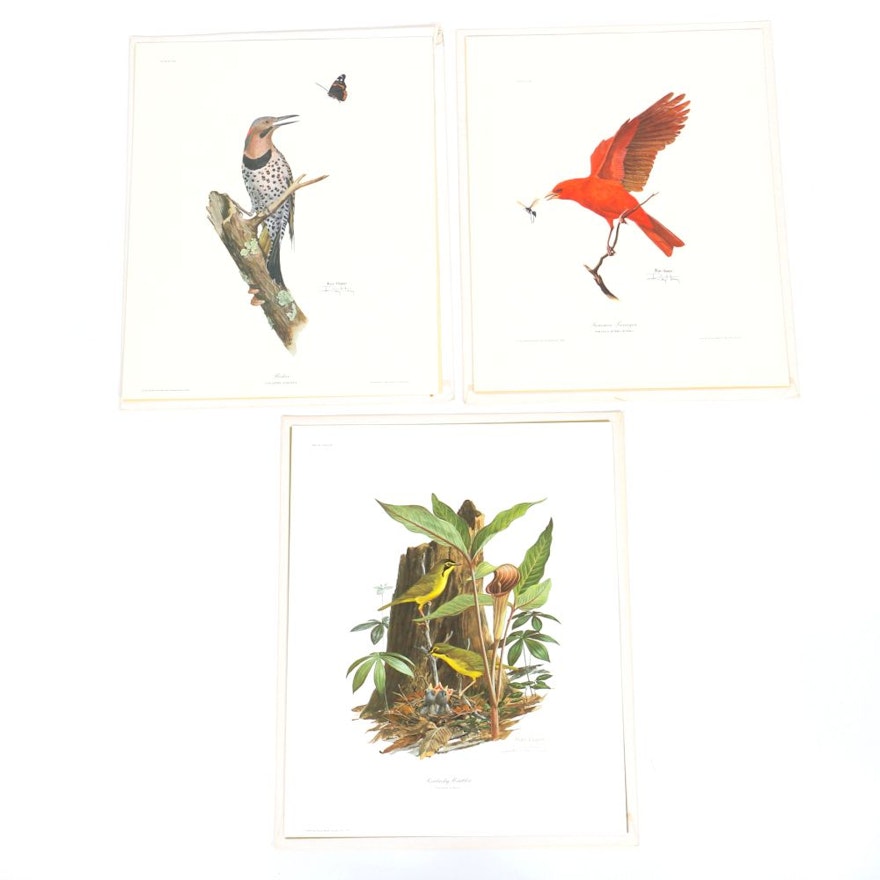 Ray Harm Offset Lithographs "Kentucky Warble" "Summer Tanager" and "Flicker"