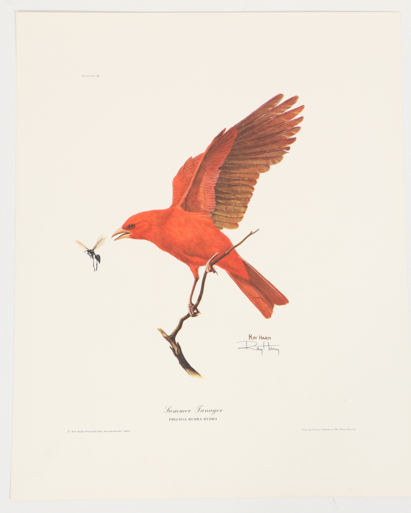 Ray Harm Offset Lithographs "Kentucky Warble" "Summer Tanager" and "Flicker"