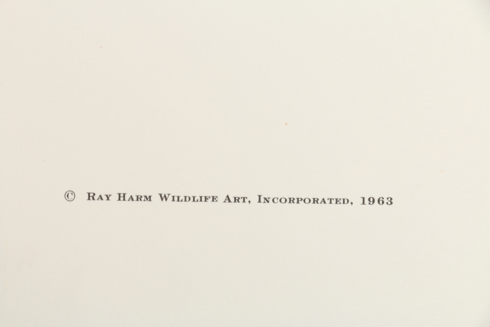 Ray Harm Offset Lithographs "Kentucky Warble" "Summer Tanager" and "Flicker"