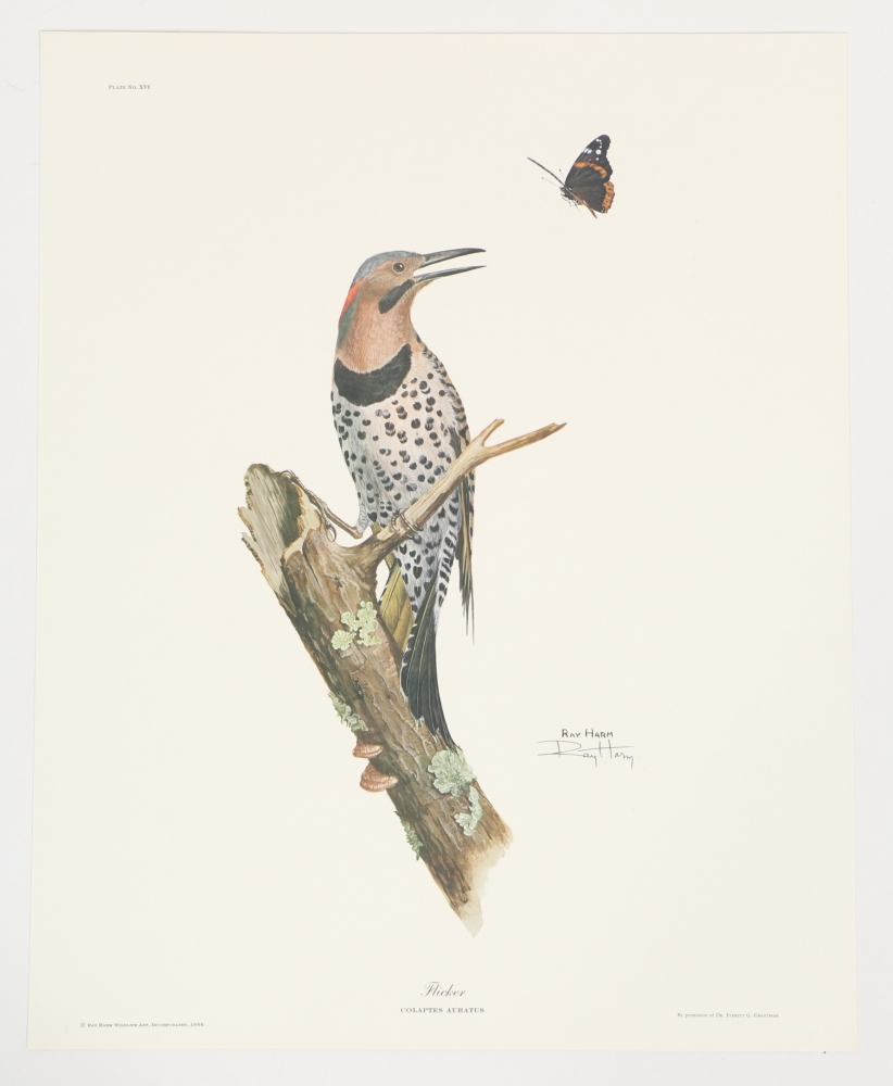 Ray Harm Offset Lithographs "Kentucky Warble" "Summer Tanager" and "Flicker"