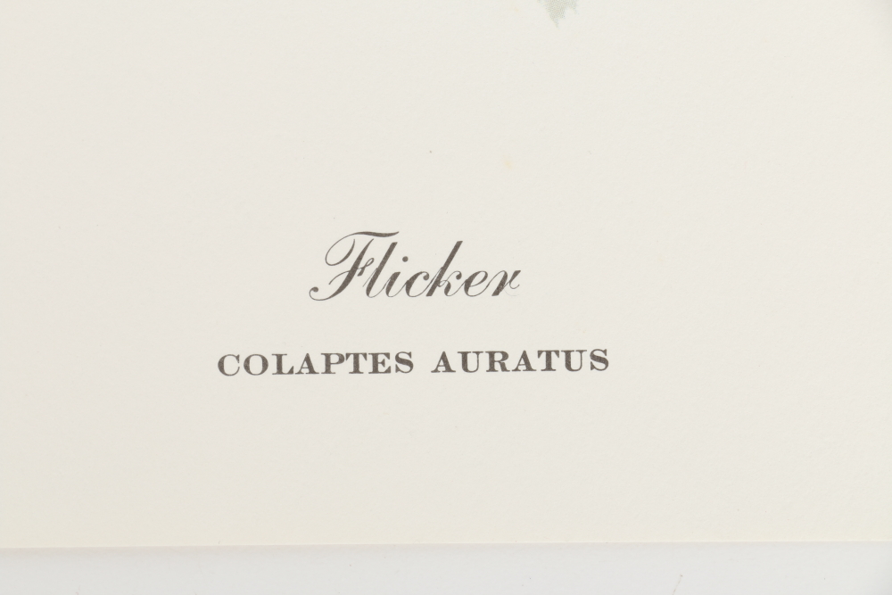 Ray Harm Offset Lithographs "Kentucky Warble" "Summer Tanager" and "Flicker"