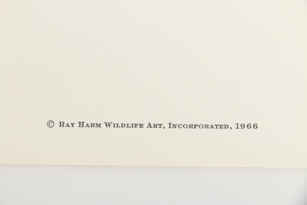 Ray Harm Offset Lithographs "Kentucky Warble" "Summer Tanager" and "Flicker"