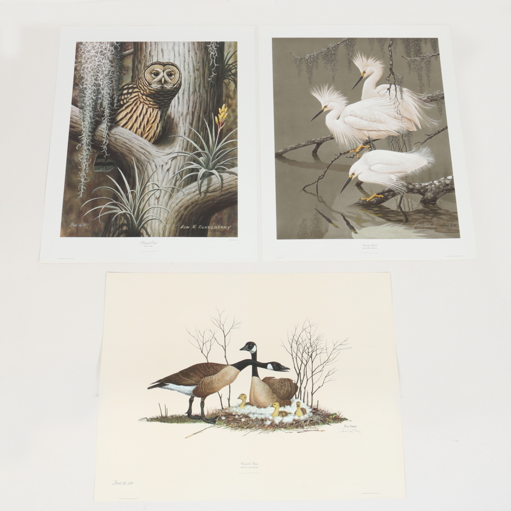 Coheleach, Harm, and Eckelberry Offset Lithographs of American Wildlife