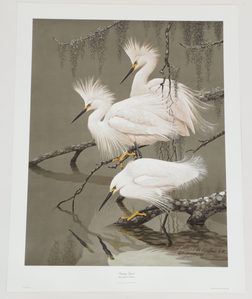 Coheleach, Harm, and Eckelberry Offset Lithographs of American Wildlife