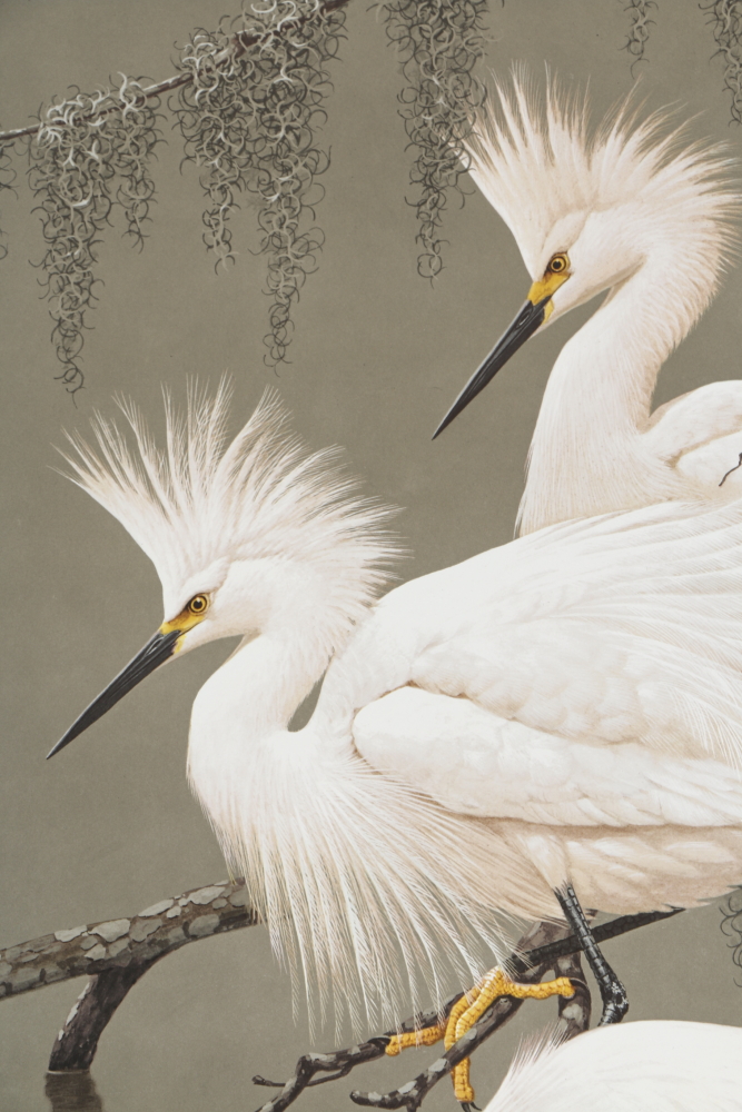 Coheleach, Harm, and Eckelberry Offset Lithographs of American Wildlife