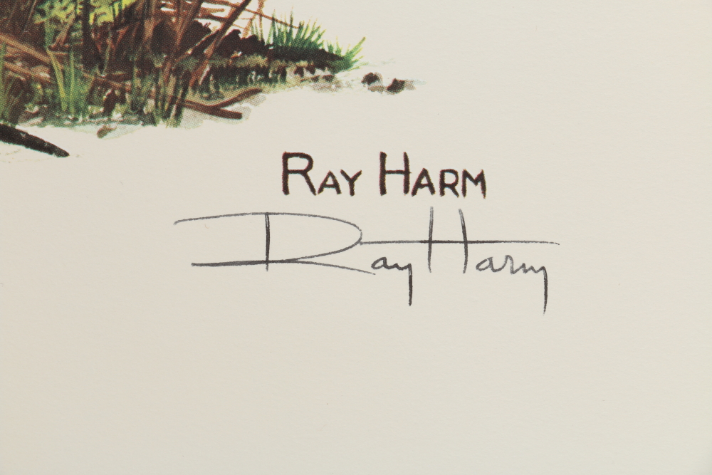 Coheleach, Harm, and Eckelberry Offset Lithographs of American Wildlife