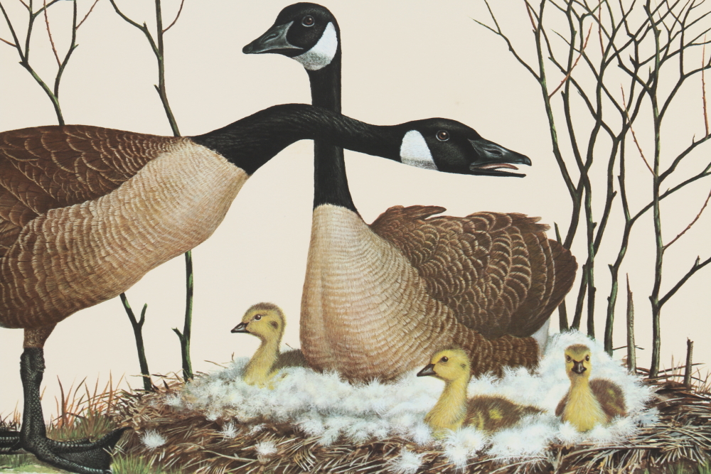 Coheleach, Harm, and Eckelberry Offset Lithographs of American Wildlife