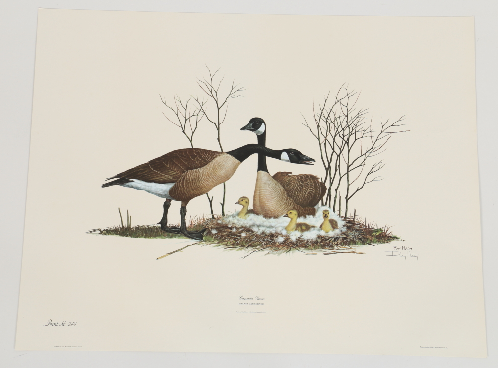 Coheleach, Harm, and Eckelberry Offset Lithographs of American Wildlife