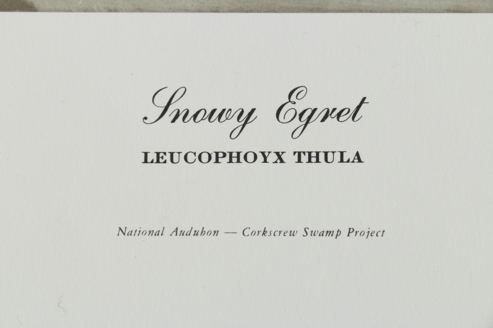 Coheleach, Harm, and Eckelberry Offset Lithographs of American Wildlife