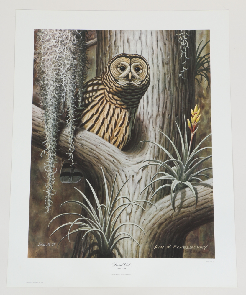 Coheleach, Harm, and Eckelberry Offset Lithographs of American Wildlife