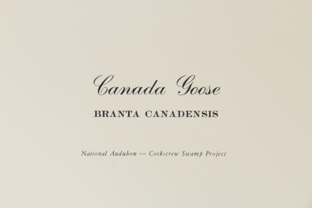 Coheleach, Harm, and Eckelberry Offset Lithographs of American Wildlife