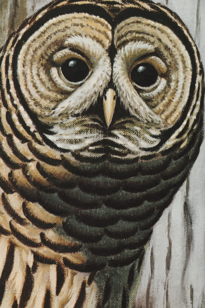 Coheleach, Harm, and Eckelberry Offset Lithographs of American Wildlife