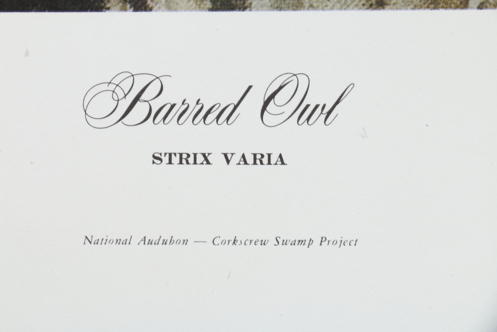 Coheleach, Harm, and Eckelberry Offset Lithographs of American Wildlife