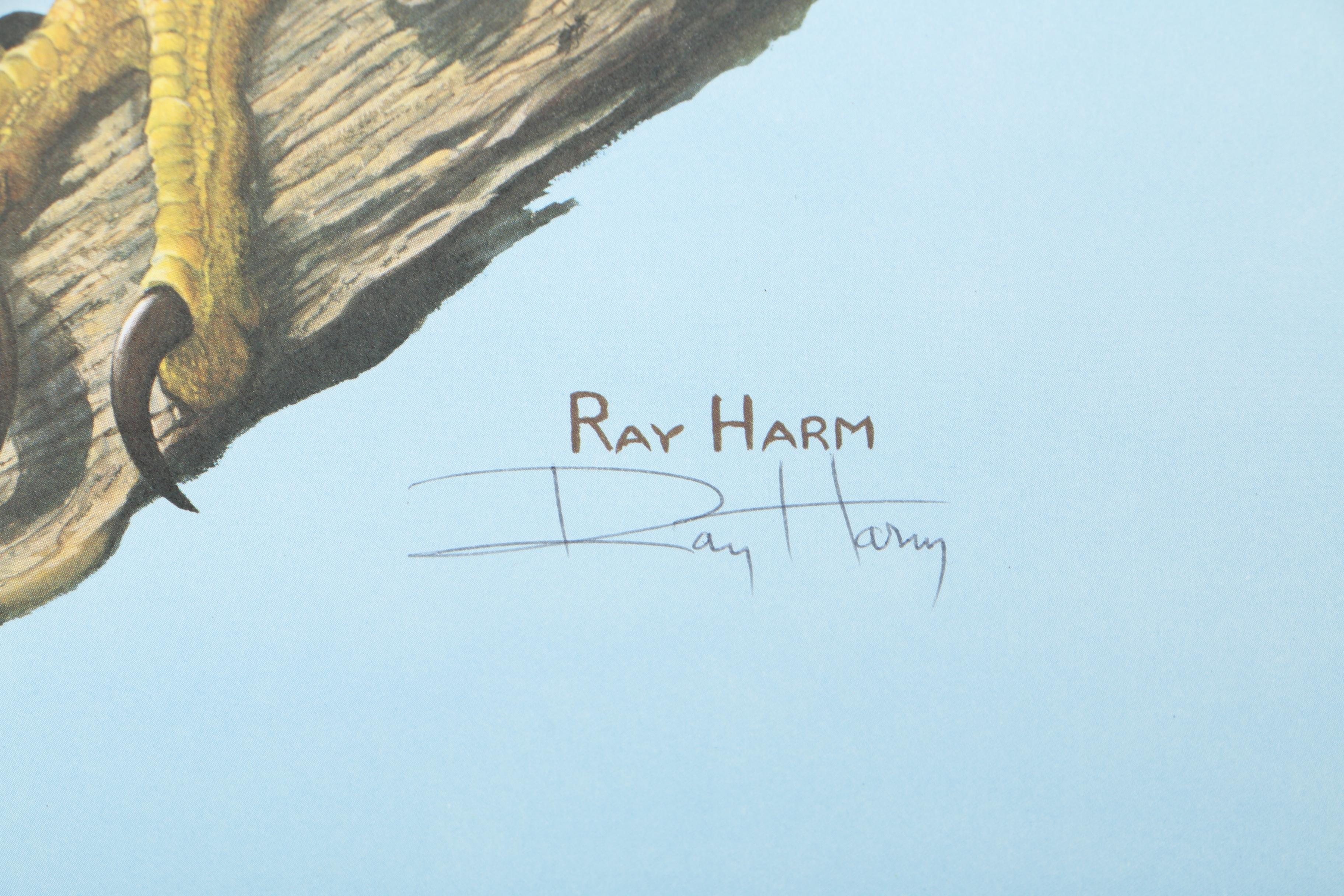 Ray Harm Offset Lithograph "American Eagle Haliaetus leucocephalus"