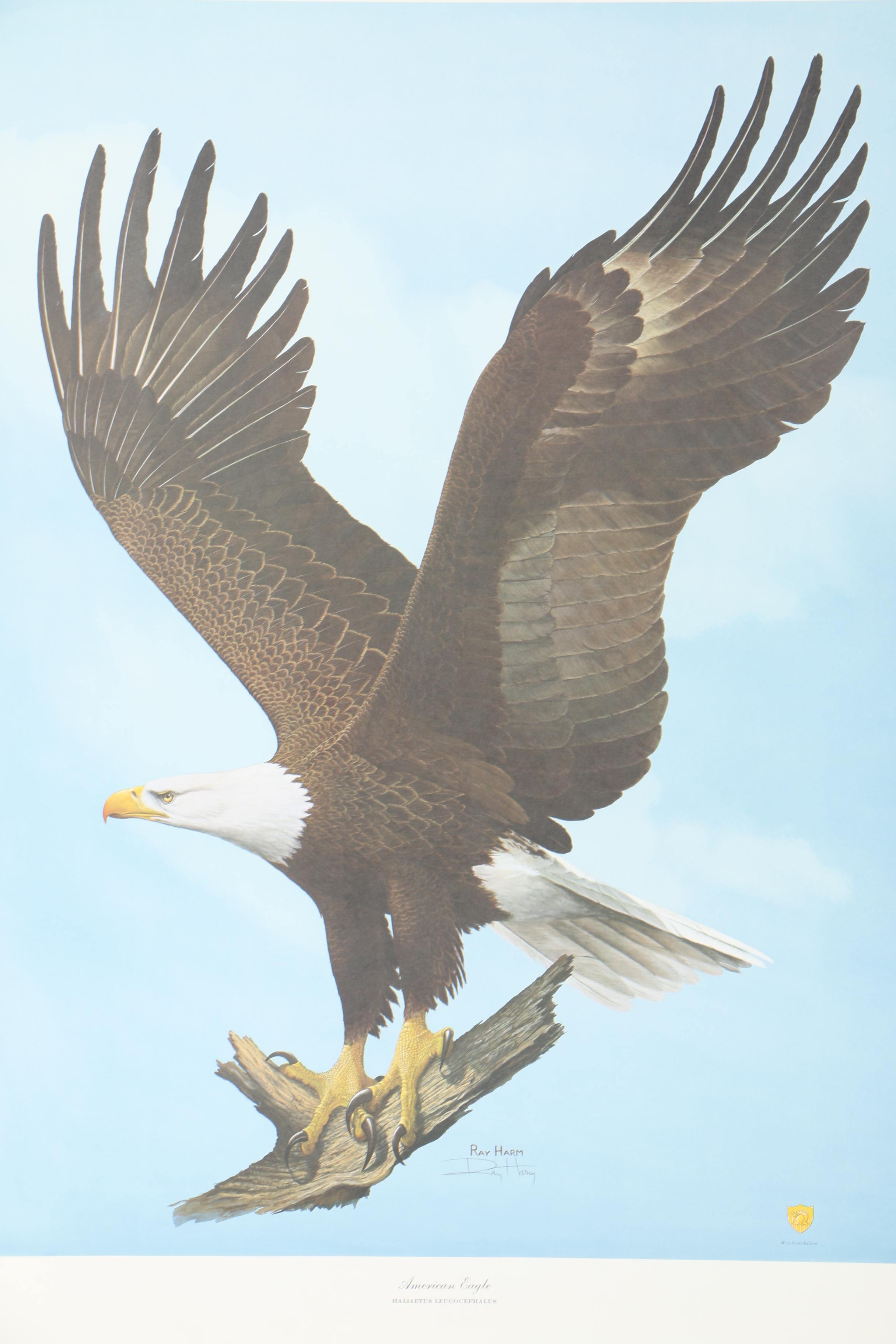 Ray Harm Offset Lithograph "American Eagle Haliaetus leucocephalus"