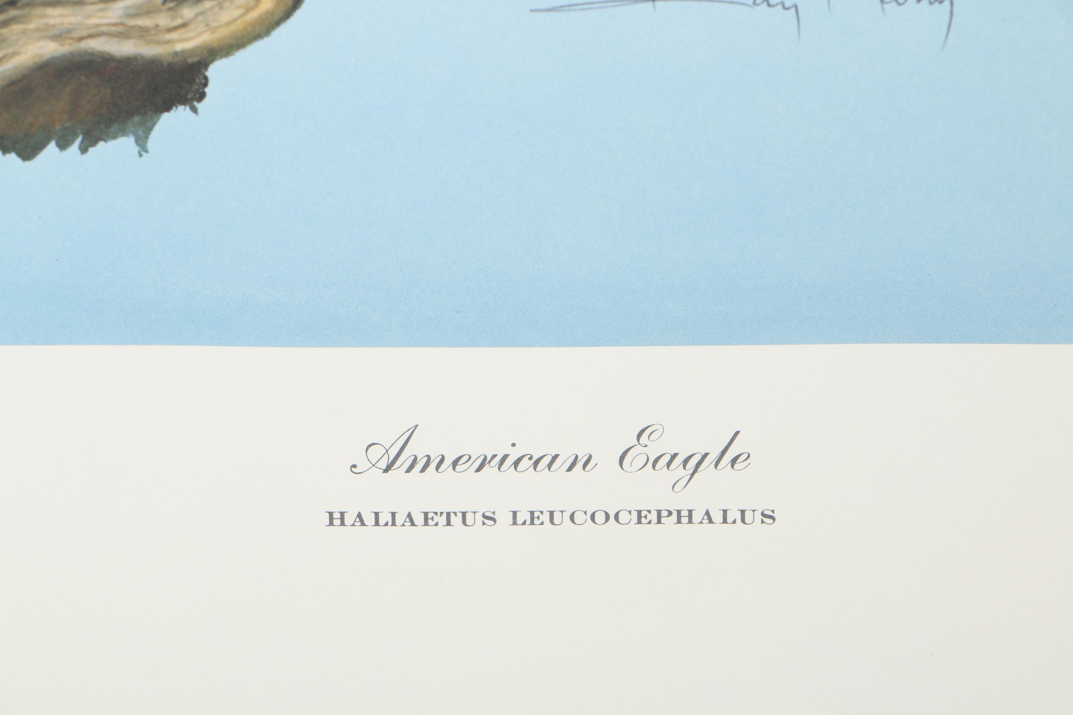 Ray Harm Offset Lithograph "American Eagle Haliaetus leucocephalus"