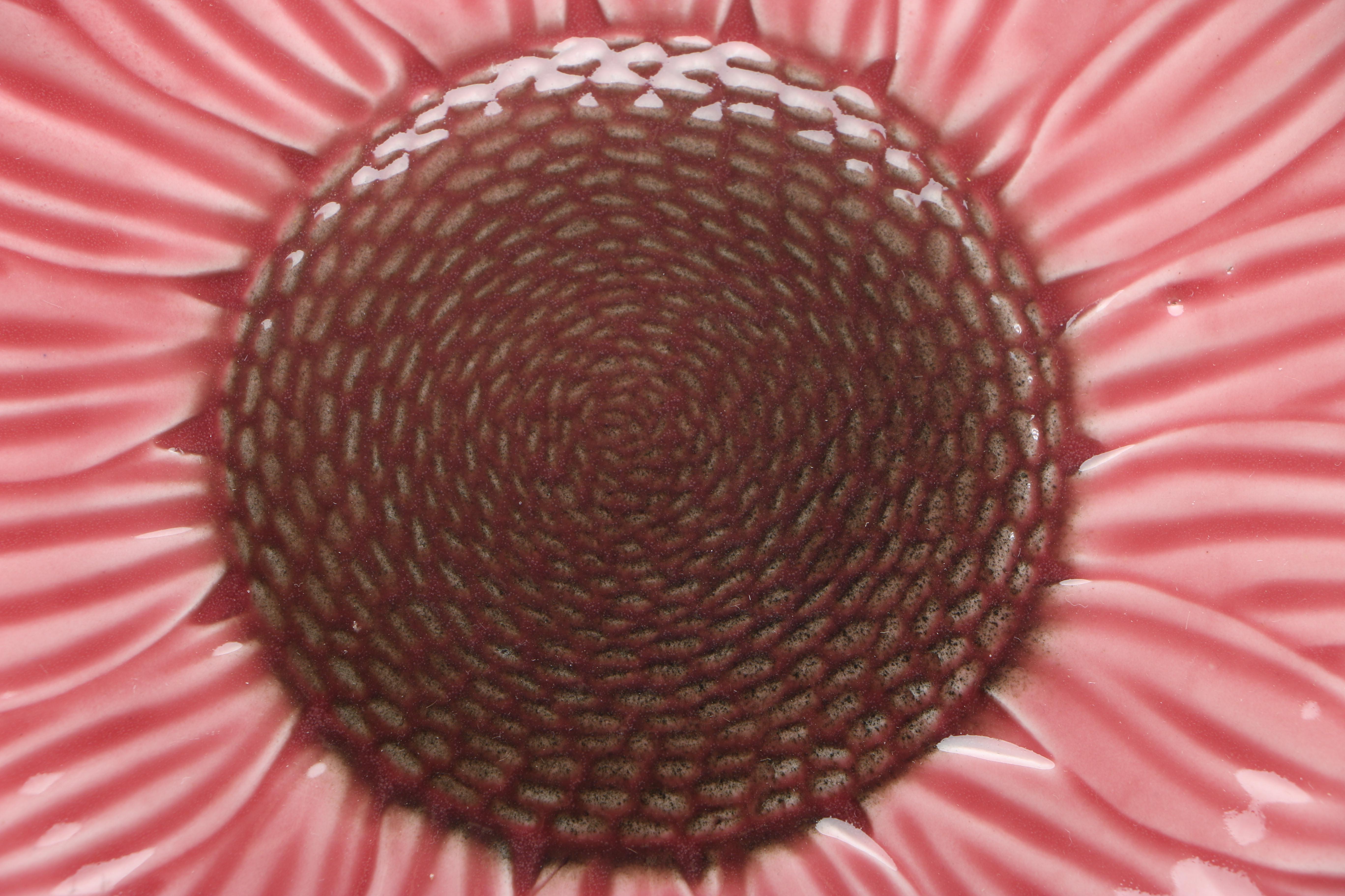 Majolica Paience d'Art Proceram Pink Sunflower Plates