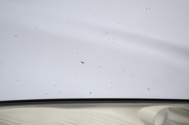 2005 Lexus ES330 Sedan