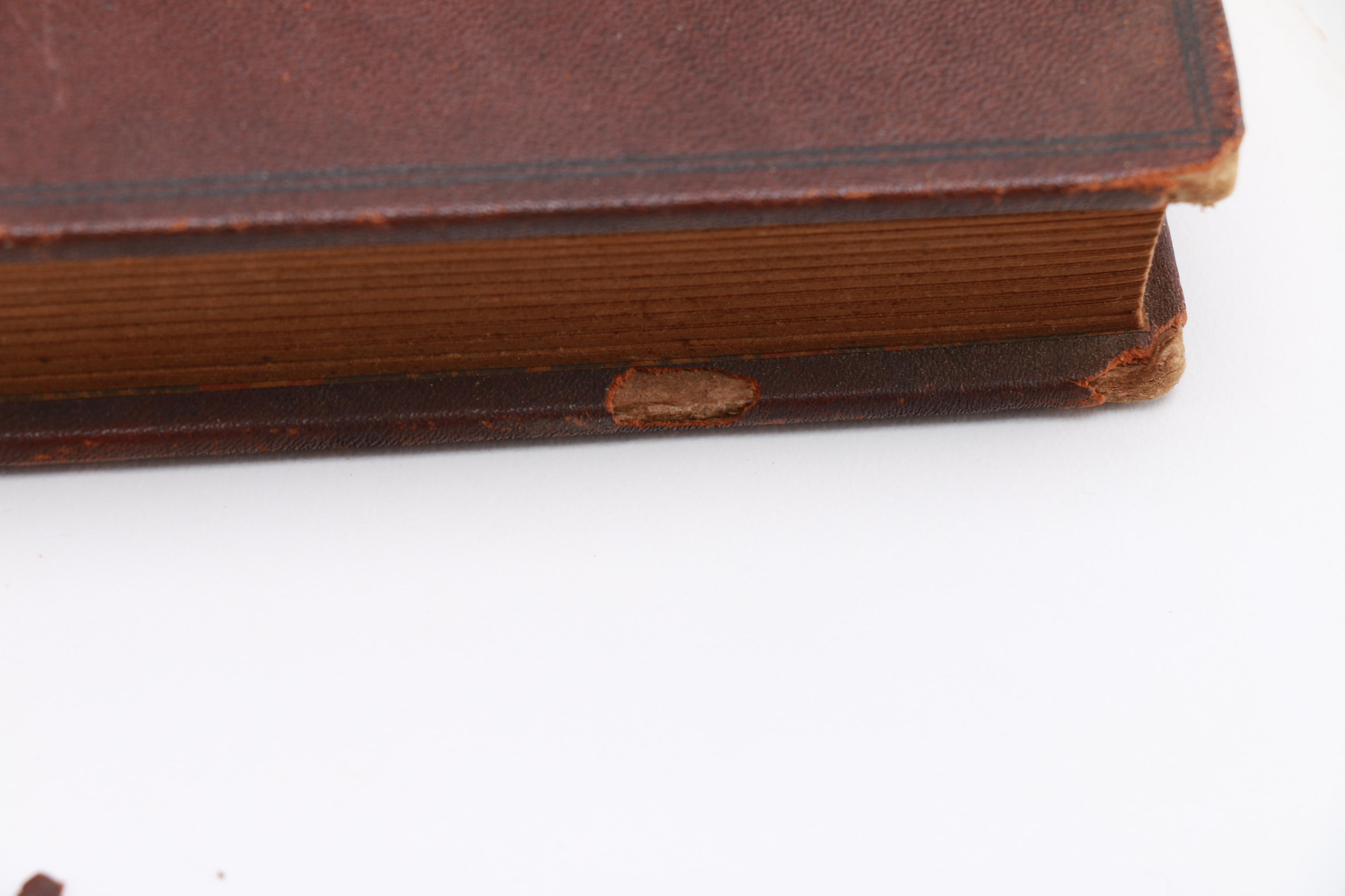 "Williamsburg In Virginia" by R.G, Gent