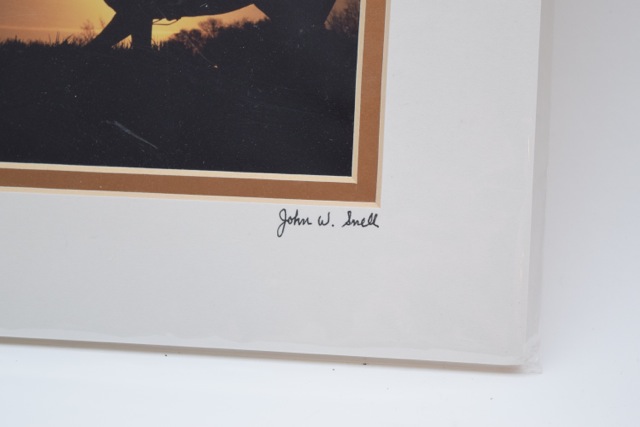 Horse-Themed Mug and Signed Photographic Print