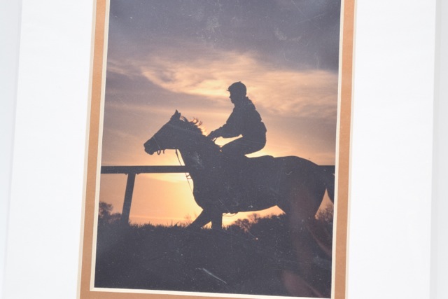 Horse-Themed Mug and Signed Photographic Print