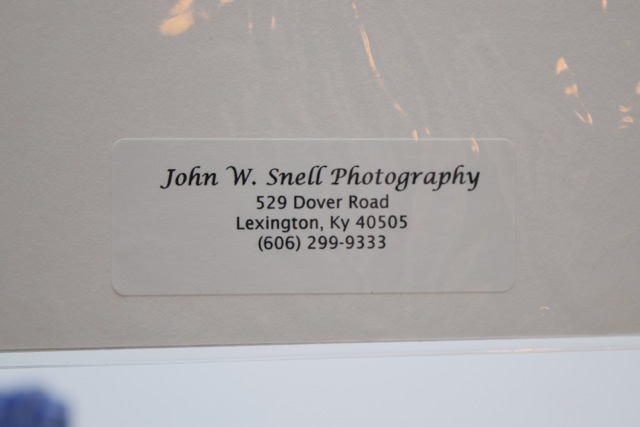 Horse-Themed Mug and Signed Photographic Print